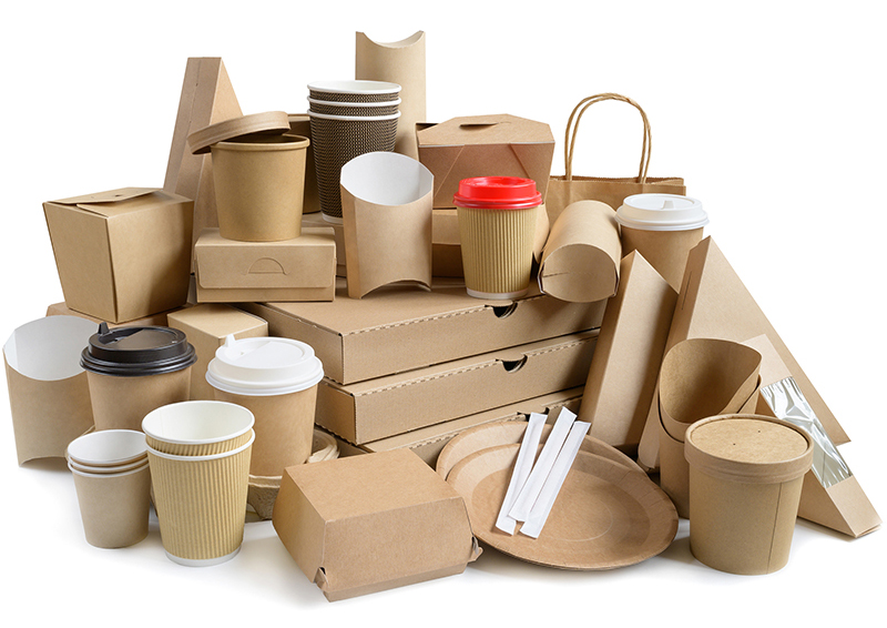 Eco friendly fast food containers isolated on white.